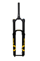 Media FGMTB-381x-var1.jpg