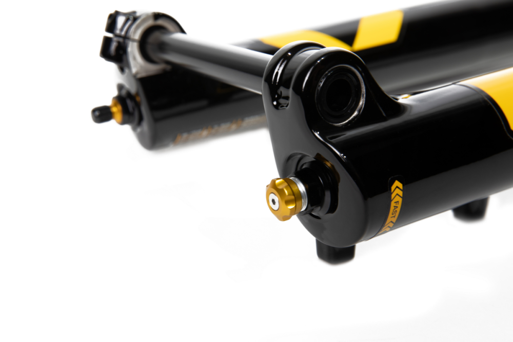 Media FGMTB-381x-var3.jpg